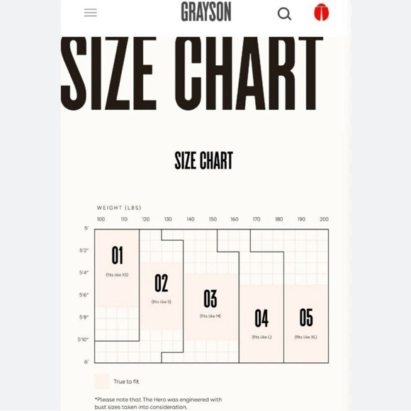 GRAYSON x ANTHROPOLOGIE The Hero Pelican Print Buttondown Shirt 2 Small Novelty - Picture 4 of 15